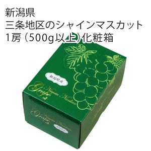 新潟県産 三条地区のシャインマスカット 1房(500g以上)化粧箱【お届け期間:7月21日〜8月20日】【KN】
