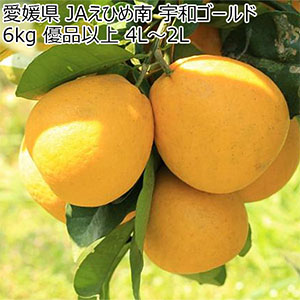 愛媛県 JAえひめ南 宇和ゴールド 6kg 優品以上 4L〜2L【お届け期間:5月7日〜5月31日】【GW】【NN】