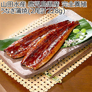 山田水産 鹿児島県産 完全養殖うなぎ蒲焼(2尾計228g)【限定53点】【おいしいお取り寄せ】