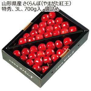 山形県産 さくらんぼ(やまがた紅王)特秀3L700g鏡詰め【限定50点】【お届け期間:6月1日〜7月20日】【KN】