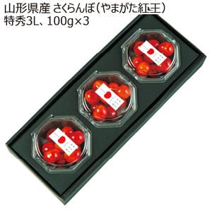 山形県産 さくらんぼ(やまがた紅王)特秀3L 100g×3【限定50点】【お届け期間:6月1日〜7月20日】【KN】