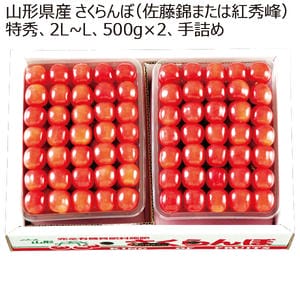 山形県産 さくらんぼ(佐藤錦または紅秀峰)特秀2L〜L 1kg手詰め【限定15点】【お届け期間:6月1日〜7月20日】【KN】
