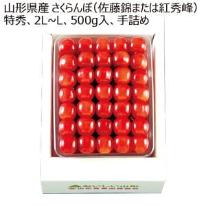 山形県産 さくらんぼ(佐藤錦または紅秀峰)特秀2L〜L 500g手詰め【限定15点】【お届け期間:6月1日〜7月20日】【KN】