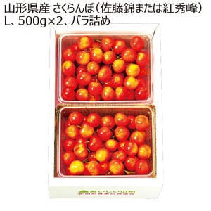 山形県産 さくらんぼ(佐藤錦または紅秀峰)L 500g×2 バラ詰め【限定50点】【お届け期間:6月1日〜7月20日】【KN】