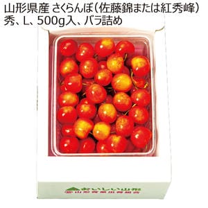 山形県産 さくらんぼ(佐藤錦または紅秀峰)秀L500gバラ詰め【限定50点】【お届け期間:6月1日〜7月20日】【KN】