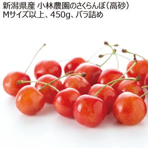新潟県産 小林農園のさくらんぼ(高砂)450g Mサイズ以上【限定50点】【お届け期間:6月6日〜6月20日】【KN】