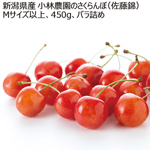 新潟県産 小林農園のさくらんぼ(佐藤錦)450g Mサイズ以上【限定50点】【お届け期間:6月9日〜6月30日】【KN】