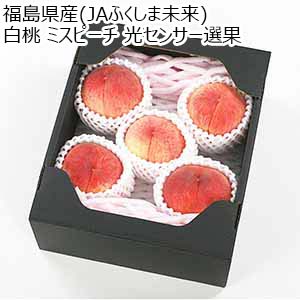 福島県産(JAふくしま未来) 白桃 ミスピーチ 光センサー選果【限定100点】【お届け期間：7月6日〜8月10日】【従業員感謝WEEK】