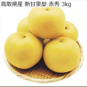 鳥取県産 新甘泉梨 赤秀 3kg【限定200点】【お届け期間：8月20日〜9月25日】【おいしいお取り寄せ】