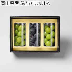 岡山県産 ぶどうアラカルトA【限定200点】【お届け期間：7月5日〜8月15日】【おいしいお取り寄せ】