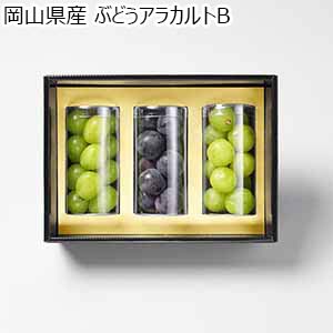 岡山県産 ぶどうアラカルトB 【お届け期間：8月16日〜10月31日】【おいしいお取り寄せ】