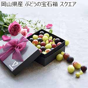 岡山県産 ぶどうの宝石箱 スクエア【お届け期間：9月1日〜10月31日】【おいしいお取り寄せ】
