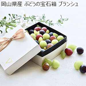 岡山県産 ぶどうの宝石箱 ブランシュ【お届け期間：9月1日〜9月30日】【おいしいお取り寄せ】
