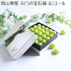 岡山県産 ぶどうの宝石箱 ルミエール【お届け期間：11月1日〜12月20日】【おいしいお取り寄せ】