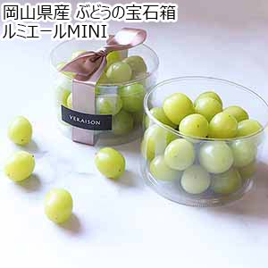 岡山県産 ぶどうの宝石箱 ルミエールMINI【お届け期間：10月1日〜12月20日】【おいしいお取り寄せ】