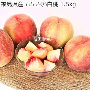 福島県産 もも さくら白桃 1.5kg【限定100点】【お届け期間：9月1日〜9月30日】【おいしいお取り寄せ】