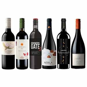 世界の実力派赤ワイン 厳選6本飲み比べセット【おいしいお取り寄せ】