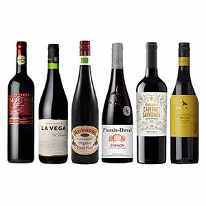 食卓を格上げする 世界の赤ワイン6本セット【おいしいお取り寄せ】
