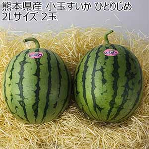 熊本県産 小玉すいか ひとりじめ 2Lサイズ 2玉 【お届け期間：6月25日〜7月31日】【イオンゴールドカード会員さま限定特別セール6月】