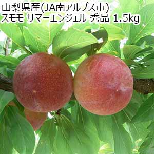 山梨県産(JA南アルプス市)スモモ サマーエンジェル 秀品 1.5kg【限定100点】【お届け期間：7月1日〜7月15日】【イオンゴールドカード会員さま限定特別セール6月】