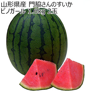 山形県産 門脇さんのすいか ピノガール 1.6kg 2玉【限定100点】【お届け期間：7月20日〜7月31日】【おいしいお取り寄せ】