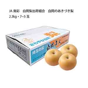 埼玉県産 JA南彩 白岡梨出荷組合 白岡のあきづき梨(2.3kg・7〜5玉)【お届け期間:9月6日〜9月20日】【KN】