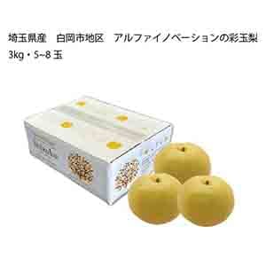 埼玉県産 白岡市地区 アルファイノベーションの彩玉梨(3kg・5〜8玉)【限定:50点】【お届け期間:8月17日〜8月27日】【KN】