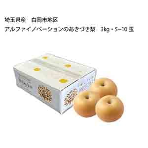 埼玉県産 白岡市地区 アルファイノベーションのあきづき梨(3kg・5〜10玉)【限定:50点】【お届け期間:9月5日〜9月15日】【KN】