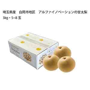 埼玉県産 白岡市地区 アルファイノベーションの甘太梨(3kg・5〜8玉)【限定:50点】【お届け期間:9月28日〜10月10日】【KN】