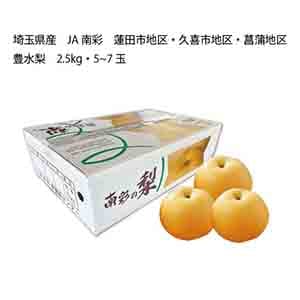 埼玉県産 JA南彩 蓮田市地区・久喜市地区・菖蒲地区 豊水梨(2.5kg・5〜7玉)【限定:120点】【お届け期間:8月21日〜9月12日】【KN】