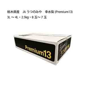 栃木県産 JAうつのみや 幸水梨(Premium13)(3L〜4L・2.5kg・8玉〜7玉)【限定:100点】【お届け期間:8月6日〜8月22日】【KN】