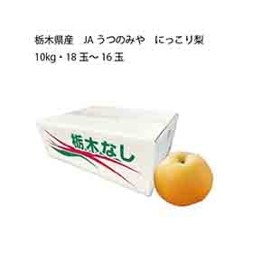 栃木県産 JAうつのみや にっこり梨(10kg・18玉〜16玉)【お届け期間:10月1日〜11月1日】【KN】
