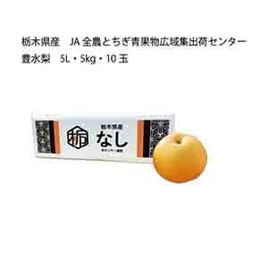 栃木県産 JA全農とちぎ青果物広域集出荷センター 豊水梨(5L・5kg・10玉)【限定:30点】【お届け期間:8月30日〜9月20日】【KN】