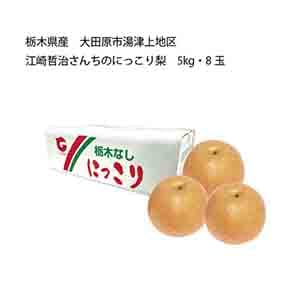 栃木県産 大田原市湯津上地区 江崎哲治さんちのにっこり梨(5kg・8玉)【限定:100点】【お届け期間:10月5日〜10月31日】【KN】