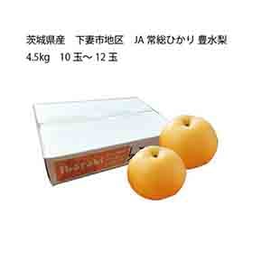 茨城県産 下妻市地区 JA常総ひかり 豊水梨(4.5kg 10玉〜12玉)【限定:100点】【お届け期間:8月20日〜9月13日】【KN】