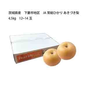 茨城県産 下妻市地区 JA常総ひかり あきづき梨(4.5kg 12〜14玉)【限定:50点】【お届け期間:8月20日〜9月13日】【KN】