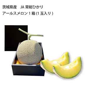 茨城県産 JA常総ひかり アールスメロン(1箱(1玉入り))【限定:100点】【お届け期間:9月10日〜9月25日】【KN】