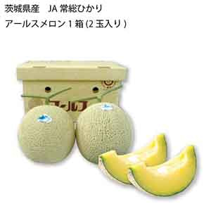 茨城県産 JA常総ひかり アールスメロン(1箱(2玉入り))【限定:100点】【お届け期間:9月10日〜9月25日】【KN】