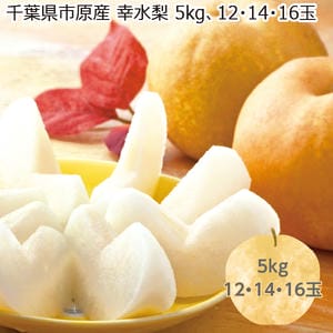 千葉県市原産 幸水梨 5kg12・14・16玉【限定600点】【お届け期間:7/27(月)〜8/22(土)】【MK】