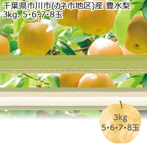 千葉県市川市(カネ市地区)産 豊水梨 3kg5・6・7・8玉【限定300点】【お届け期間:8/22(土)〜9/20(日)】【MK】