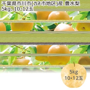 千葉県市川市(カネ市地区)産 豊水梨 5kg10・12玉【限定150点】【お届け期間:8/22(土)〜9/20(日)】【MK】