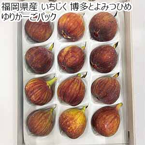 福岡県産 いちじく 博多とよみつひめ ゆりかーごパック【お届け期間：8月16日〜8月31日】【おいしいお取り寄せ】