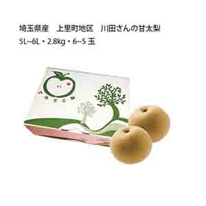 埼玉県産 上里町地区 川田さんの甘太梨(5L〜6L・2.8kg・6〜5玉)【限定:35点】【お届け期間:9月27日〜10月6日】【KN】
