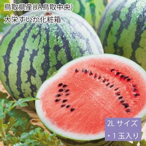 鳥取県産(JA鳥取中央)大栄すいか化粧箱2Lサイズ・1玉入り【お届け期間:6月15日〜7月31日】【従業員感謝WEEK】【NN】
