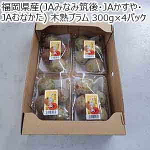 福岡県産(JAみなみ筑後・JAかすや・JAむなかた) 木熟プラム 300g×4パック【お届け期間：7月5日〜7月15日】【お買い得セール6月】
