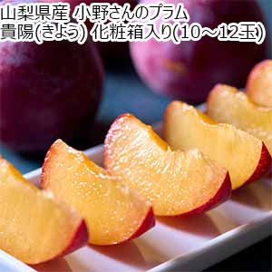 山梨県産 小野さんのプラム 貴陽(きよう) 化粧箱入り(10〜12玉) 【限定30点】【お届け期間：7月5日〜7月25日】【お買い得セール6月】