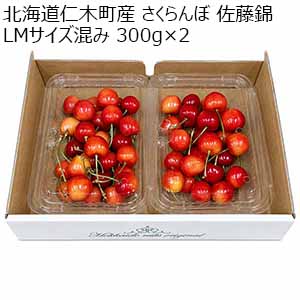 北海道仁木町産 さくらんぼ 佐藤錦 LMサイズ混み 300g×2 【限定200点】【お届け期間：7月1日〜7月20日】【お買い得セール6月】