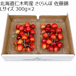 北海道仁木町産 さくらんぼ 佐藤錦 Lサイズ 300g×2 【限定200点】【お届け期間：7月1日〜7月20日】【お買い得セール6月】
