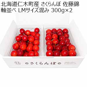北海道仁木町産 さくらんぼ 佐藤錦 軸並べ LMサイズ混み 300g×2 【限定100点】【お届け期間：7月1日〜7月20日】【お買い得セール6月】
