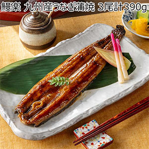 鰻楽 九州産うなぎ蒲焼 3尾計390g【限定500点】【超！ナツ夏祭り】